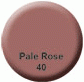Pale Rose