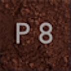 Polvo Translucido P-8 20g