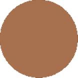 Rubor en Polvo Cinnamon