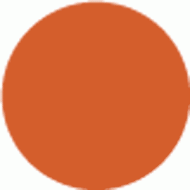 SPECIAL ORANGE