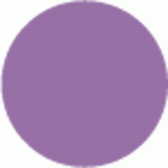 VIVID VIOLET