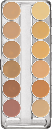 Paleta Camouflage 12 A