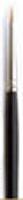 Golden Taklon Eyeliner