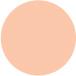 PCN10 Cool Concealer