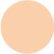 PCN12 Warm Concealer