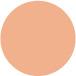 PCN22 Tattoo Cover Concealer