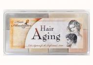 Hair Aging Palette