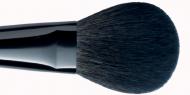 Powder Brush PA-151