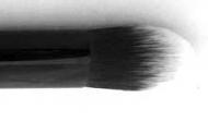 Complexion Brush PBS-3
