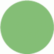 GECKO GREEN
